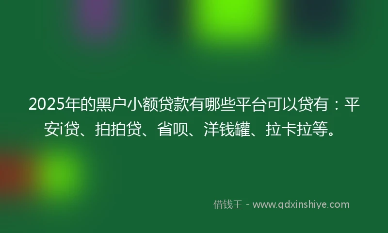2025年的黑户小额贷款有哪些平台可以贷有：平安i贷、拍拍贷、省呗、洋钱罐、拉卡拉等。