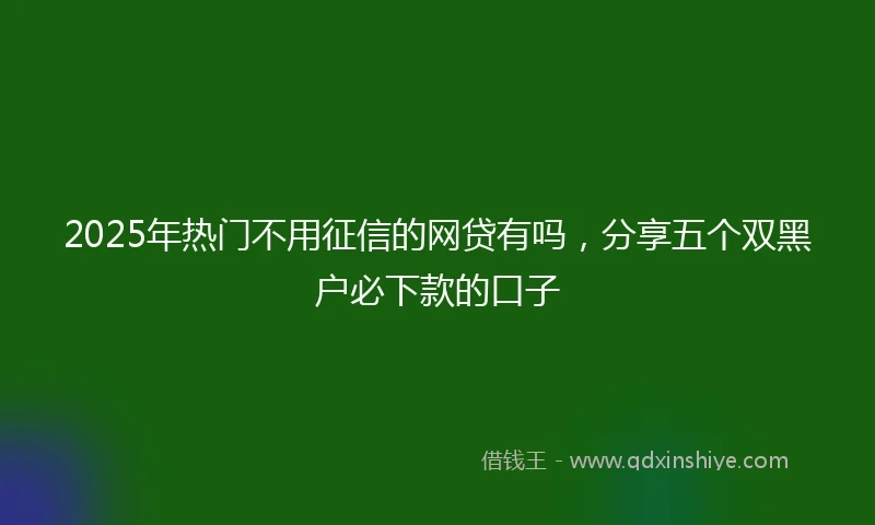 2025年热门不用征信的网贷有吗，分享五个双黑户必下款的口子