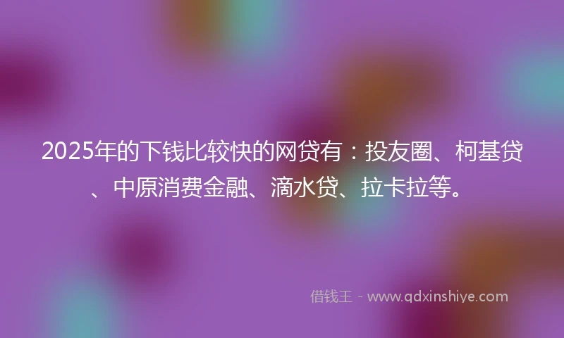 2025年的下钱比较快的网贷有：投友圈、柯基贷、中原消费金融、滴水贷、拉卡拉等。