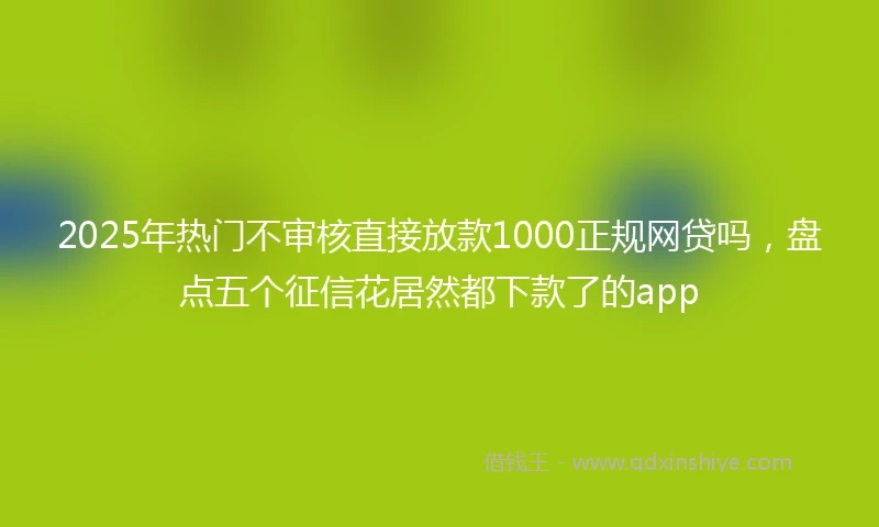 2025年热门不审核直接放款1000正规网贷吗，盘点五个征信花居然都下款了的app