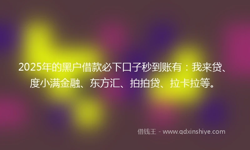 2025年的黑户借款必下口子秒到账有：我来贷、度小满金融、东方汇、拍拍贷、拉卡拉等。