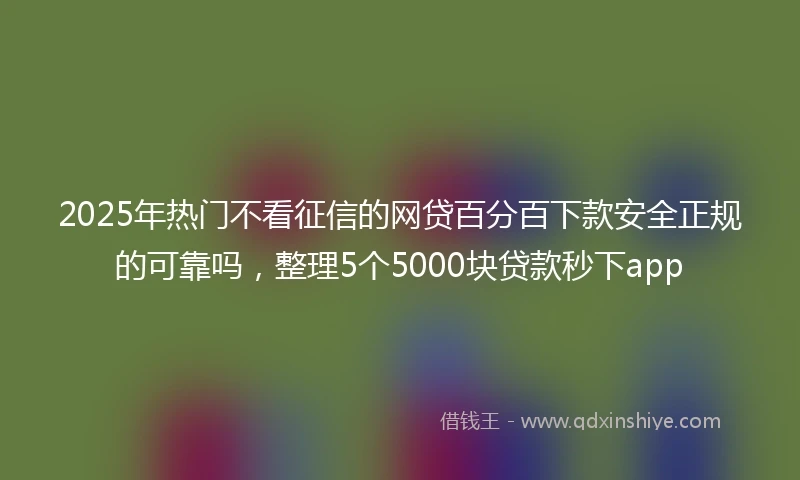 2025年热门不看征信的网贷百分百下款安全正规的可靠吗，整理5个5000块贷款秒下app