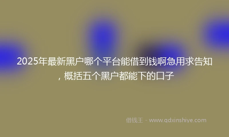 2025年最新黑户哪个平台能借到钱啊急用求告知，概括五个黑户都能下的口子