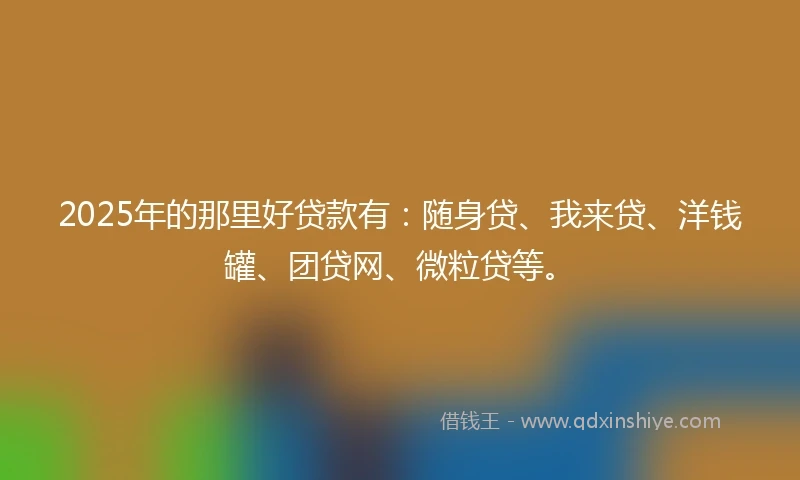 2025年的那里好贷款有：随身贷、我来贷、洋钱罐、团贷网、微粒贷等。