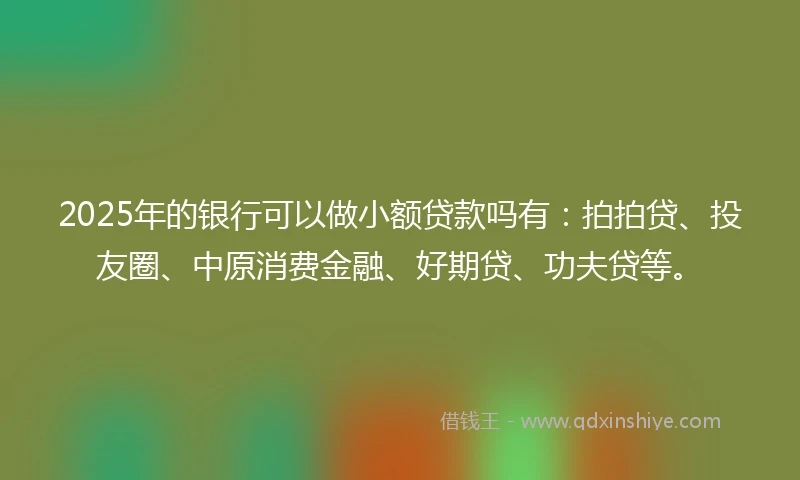 2025年的银行可以做小额贷款吗有：拍拍贷、投友圈、中原消费金融、好期贷、功夫贷等。