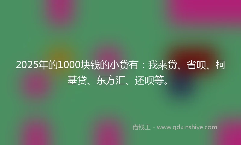 2025年的1000块钱的小贷有：我来贷、省呗、柯基贷、东方汇、还呗等。