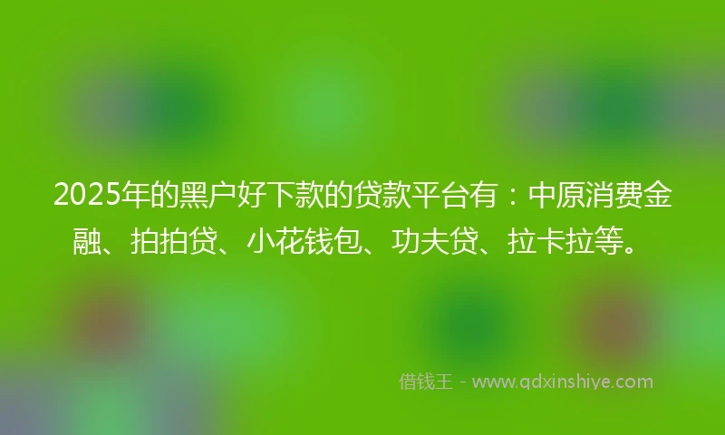 2025年的黑户好下款的贷款平台有：中原消费金融、拍拍贷、小花钱包、功夫贷、拉卡拉等。