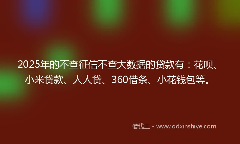 2025年的不查征信不查大数据的贷款有：花呗、小米贷款、人人贷、360借条、小花钱包等。