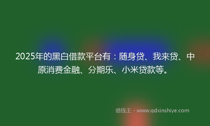 2025年的黑白借款平台有：随身贷、我来贷、中原消费金融、分期乐、小米贷款等。