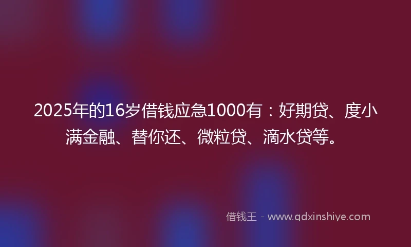2025年的16岁借钱应急1000有：好期贷、度小满金融、替你还、微粒贷、滴水贷等。