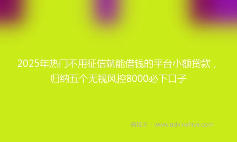 2025年热门不用征信就能借钱的平台小额贷款，归纳五个无视风控8000必下口子