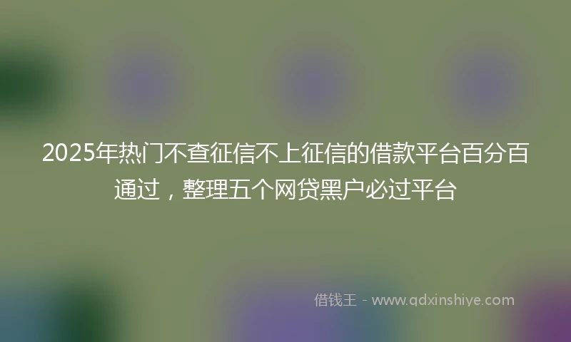 2025年热门不查征信不上征信的借款平台百分百通过，整理五个网贷黑户必过平台