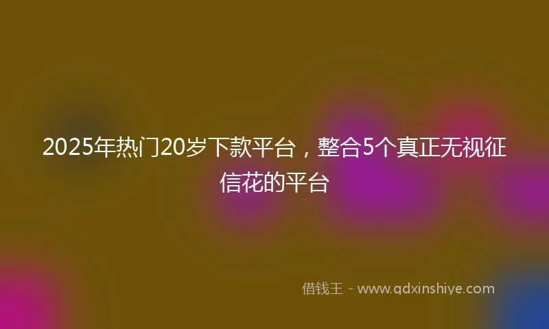 2025年热门20岁下款平台，整合5个真正无视征信花的平台