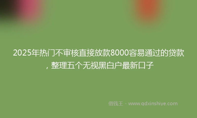 2025年热门不审核直接放款8000容易通过的贷款，整理五个无视黑白户最新口子