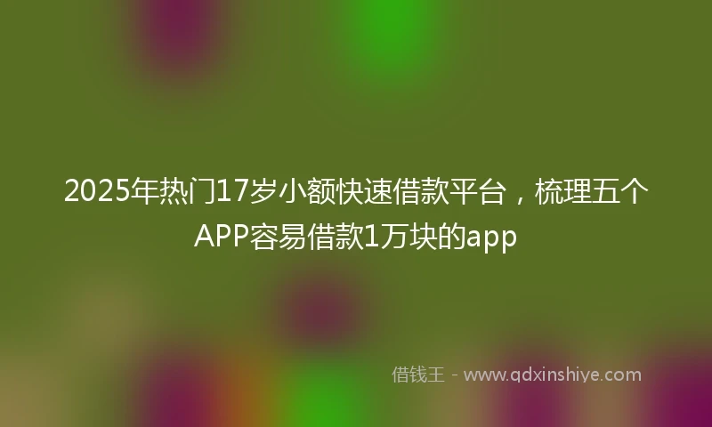 2025年热门17岁小额快速借款平台，梳理五个APP容易借款1万块的app