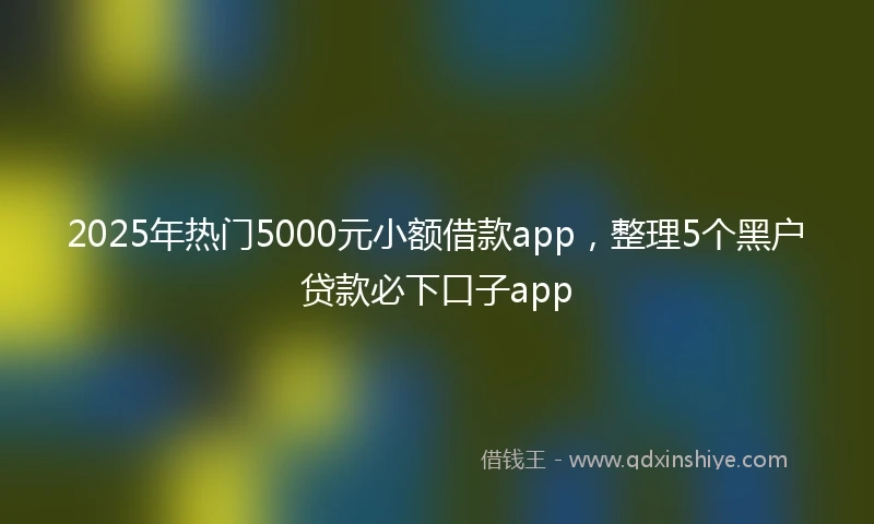 2025年热门5000元小额借款app，整理5个黑户贷款必下口子app