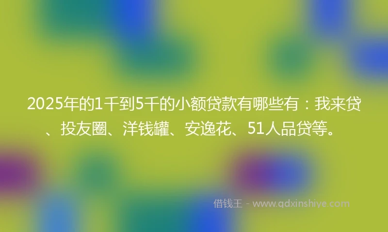 2025年的1千到5千的小额贷款有哪些有：我来贷、投友圈、洋钱罐、安逸花、51人品贷等。