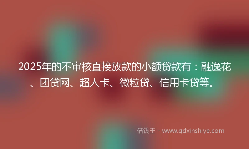 2025年的不审核直接放款的小额贷款有：融逸花、团贷网、超人卡、微粒贷、信用卡贷等。