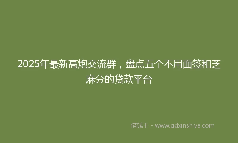2025年最新高炮交流群，盘点五个不用面签和芝麻分的贷款平台