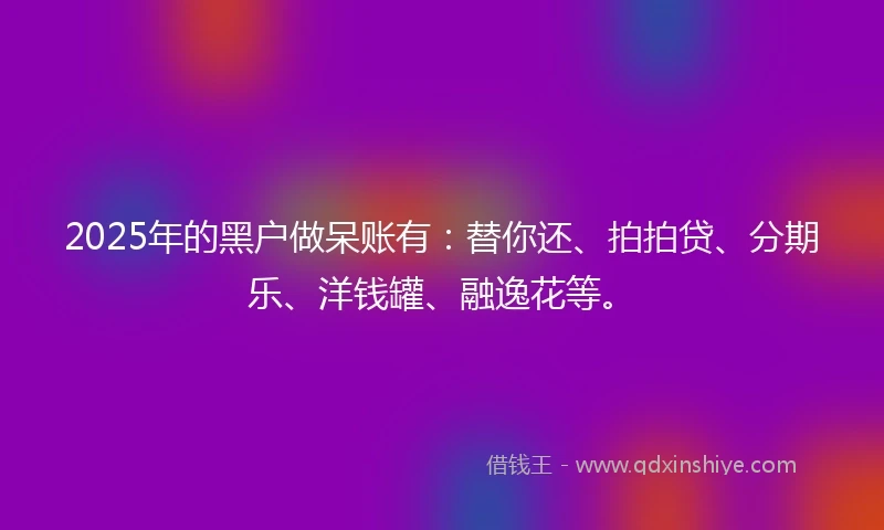 2025年的黑户做呆账有:替你还、拍拍贷、分期乐、洋钱罐、融逸花等。
