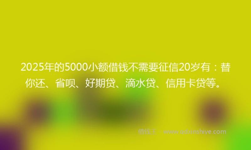 2025年的5000小额借钱不需要征信20岁有：替你还、省呗、好期贷、滴水贷、信用卡贷等。
