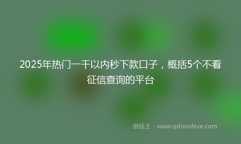 2025年热门一千以内秒下款口子，概括5个不看征信查询的平台