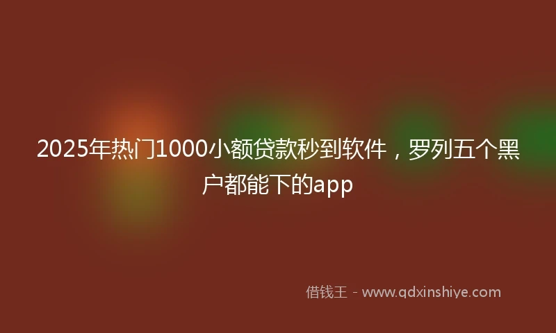 2025年热门1000小额贷款秒到软件，罗列五个黑户都能下的app