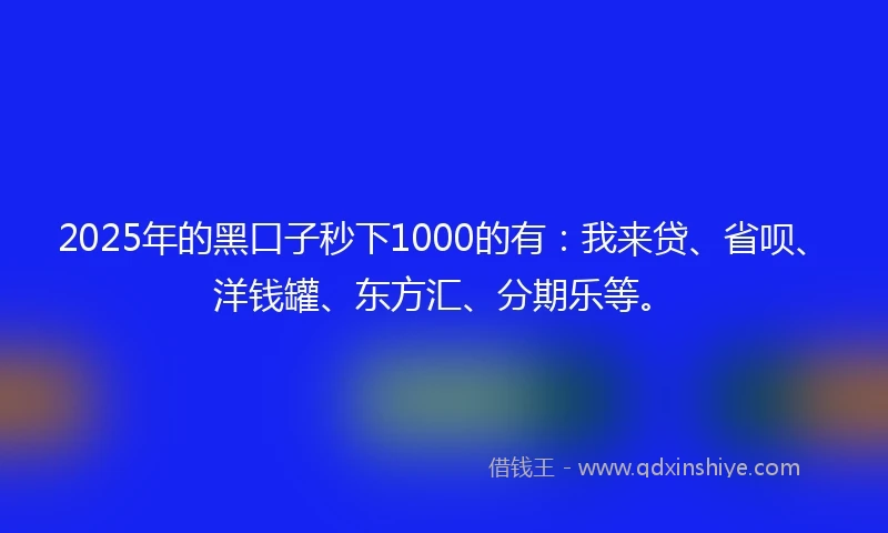 2025年的黑口子秒下1000的有：我来贷、省呗、洋钱罐、东方汇、分期乐等。