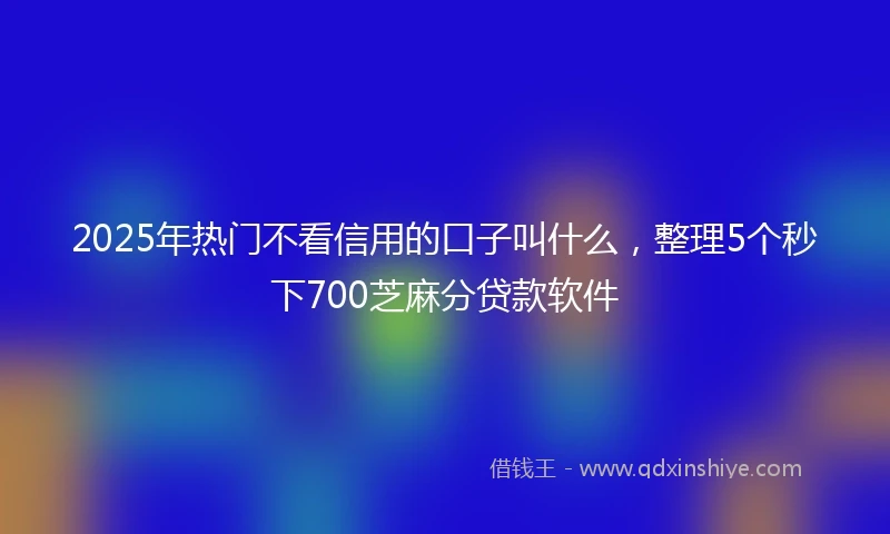 2025年热门不看信用的口子叫什么，整理5个秒下700芝麻分贷款软件