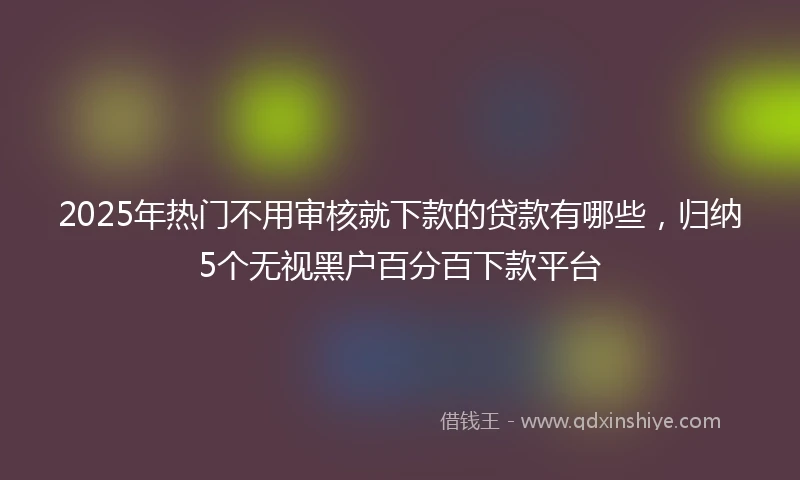 2025年热门不用审核就下款的贷款有哪些，归纳5个无视黑户百分百下款平台