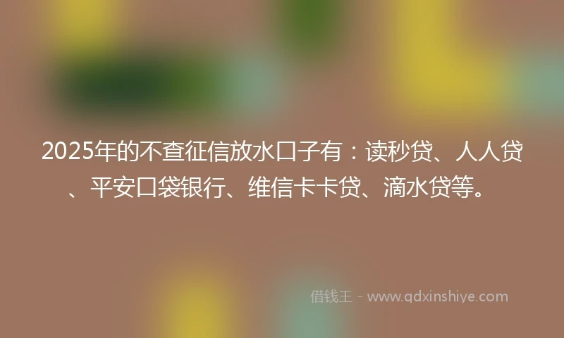 2025年的不查征信放水口子有：读秒贷、人人贷、平安口袋银行、维信卡卡贷、滴水贷等。