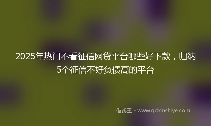 2025年热门不看征信网贷平台哪些好下款，归纳5个征信不好负债高的平台
