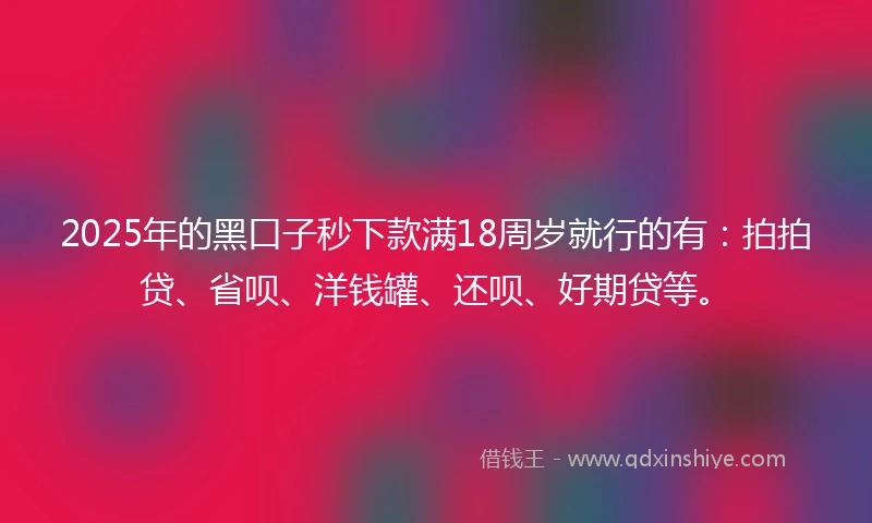 2025年的黑口子秒下款满18周岁就行的有：拍拍贷、省呗、洋钱罐、还呗、好期贷等。
