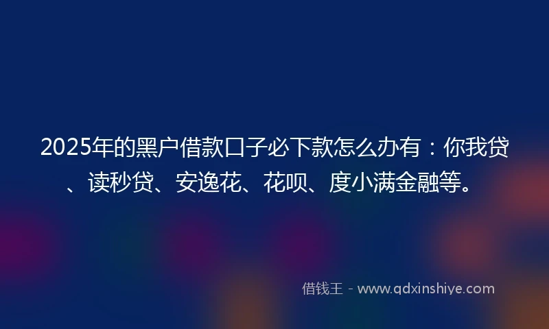 2025年的黑户借款口子必下款怎么办有：你我贷、读秒贷、安逸花、花呗、度小满金融等。