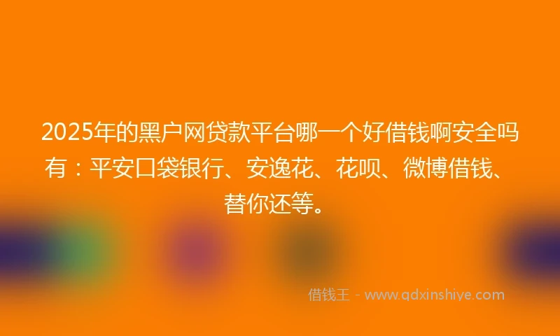 2025年的黑户网贷款平台哪一个好借钱啊安全吗有：平安口袋银行、安逸花、花呗、微博借钱、替你还等。