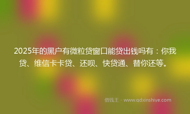 2025年的黑户有微粒贷窗口能贷出钱吗有：你我贷、维信卡卡贷、还呗、快贷通、替你还等。