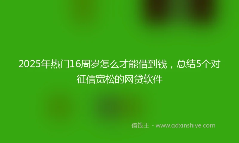 2025年热门16周岁怎么才能借到钱，总结5个对征信宽松的网贷软件