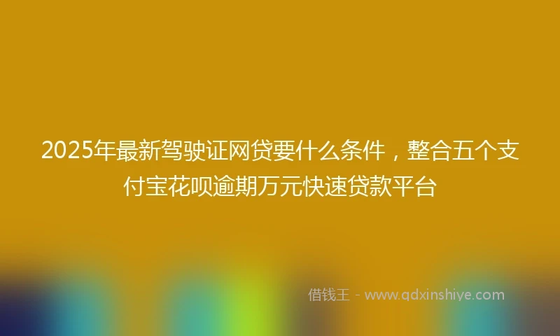 2025年最新驾驶证网贷要什么条件，整合五个支付宝花呗逾期万元快速贷款平台