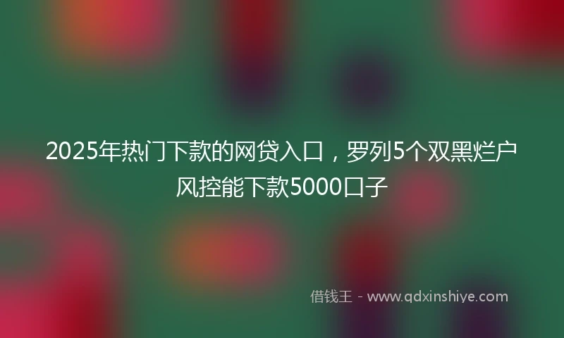 2025年热门下款的网贷入口，罗列5个双黑烂户风控能下款5000口子
