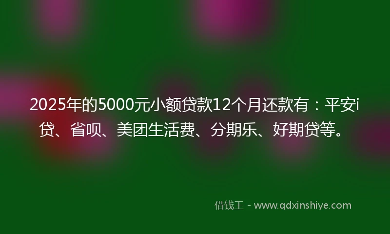 2025年的5000元小额贷款12个月还款有：平安i贷、省呗、美团生活费、分期乐、好期贷等。