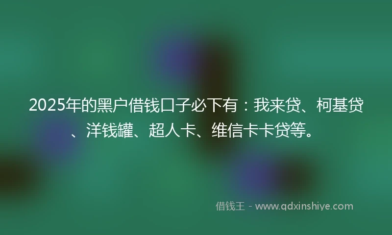 2025年的黑户借钱口子必下有：我来贷、柯基贷、洋钱罐、超人卡、维信卡卡贷等。