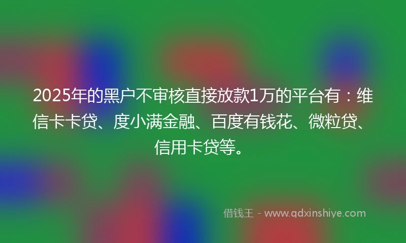 2025年的黑户不审核直接放款1万的平台有：维信卡卡贷、度小满金融、百度有钱花、微粒贷、信用卡贷等。