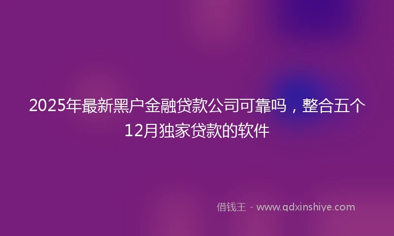 2025年最新黑户金融贷款公司可靠吗，整合五个12月独家贷款的软件