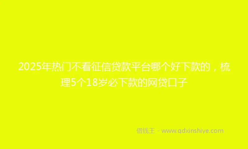 2025年热门不看征信贷款平台哪个好下款的,梳理5个18岁必下款的网贷口子