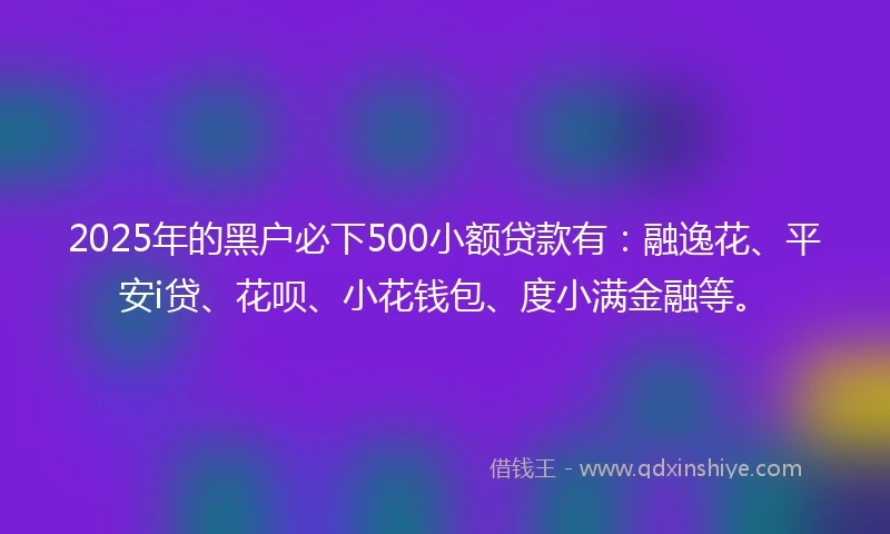 2025年的黑户必下500小额贷款有：融逸花、平安i贷、花呗、小花钱包、度小满金融等。