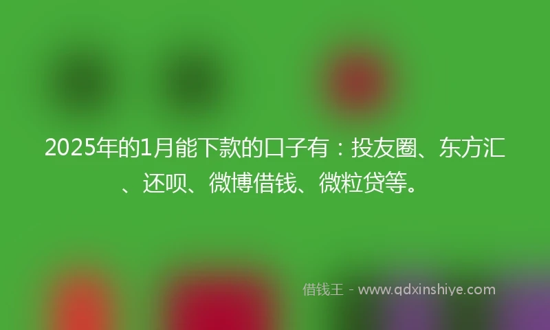 2025年的1月能下款的口子有：投友圈、东方汇、还呗、微博借钱、微粒贷等。