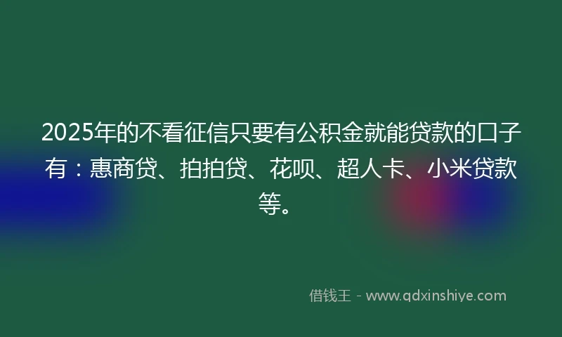 2025年的不看征信只要有公积金就能贷款的口子有:惠商贷、拍拍贷、花呗、超人卡、小米贷款等。