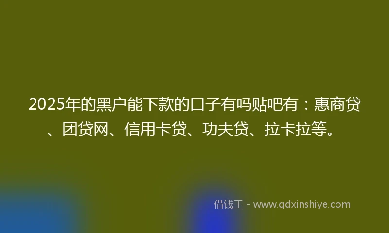 2025年的黑户能下款的口子有吗贴吧有：惠商贷、团贷网、信用卡贷、功夫贷、拉卡拉等。