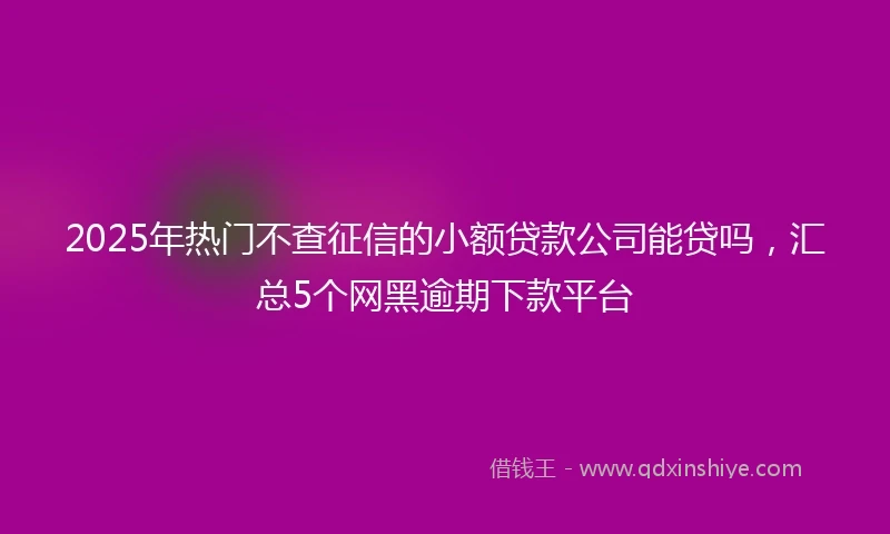 2025年热门不查征信的小额贷款公司能贷吗,汇总5个网黑逾期下款平台