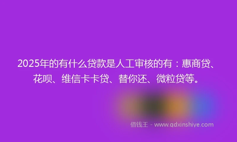 2025年的有什么贷款是人工审核的有：惠商贷、花呗、维信卡卡贷、替你还、微粒贷等。